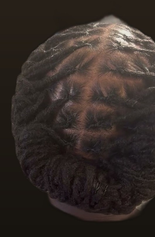 Freshly retwisted locs, top view